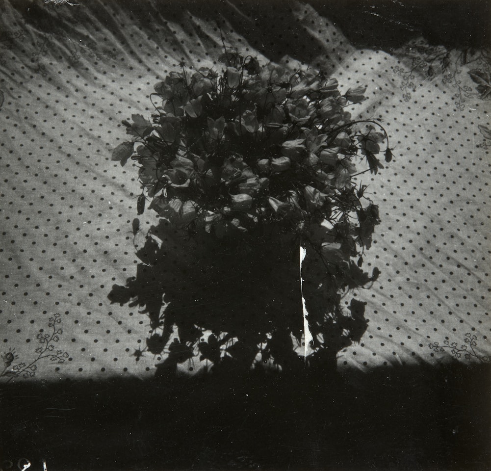 Bouquet by Dora Maar