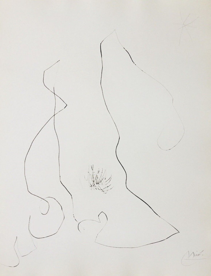 Diary of an Engraver by Joan Miró