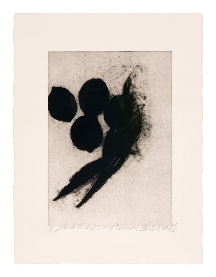 Black Tulips and Lemons, Nov 28, 1986 by Donald Sultan