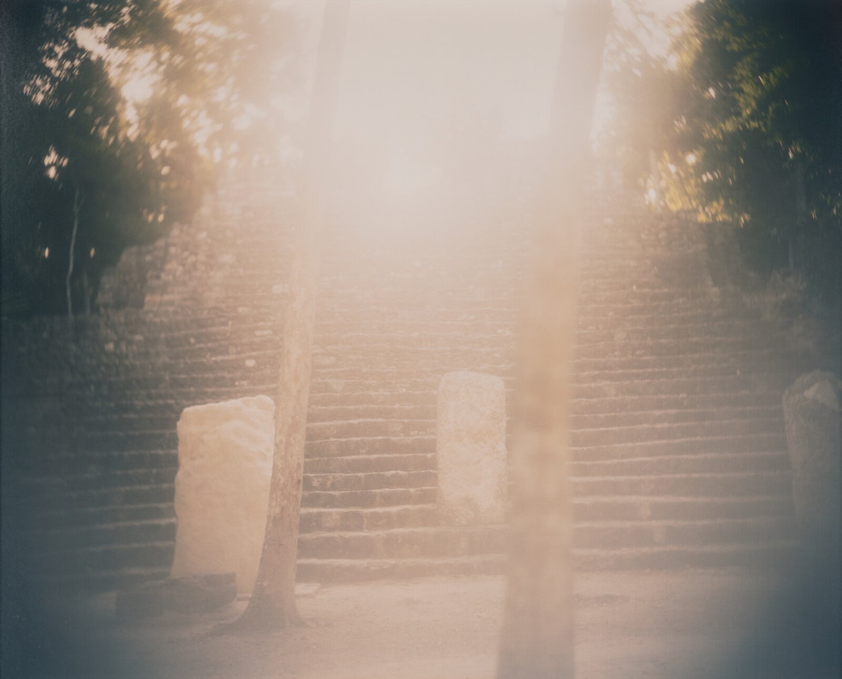 Untitled #804 (Yucatan) by Sally Mann