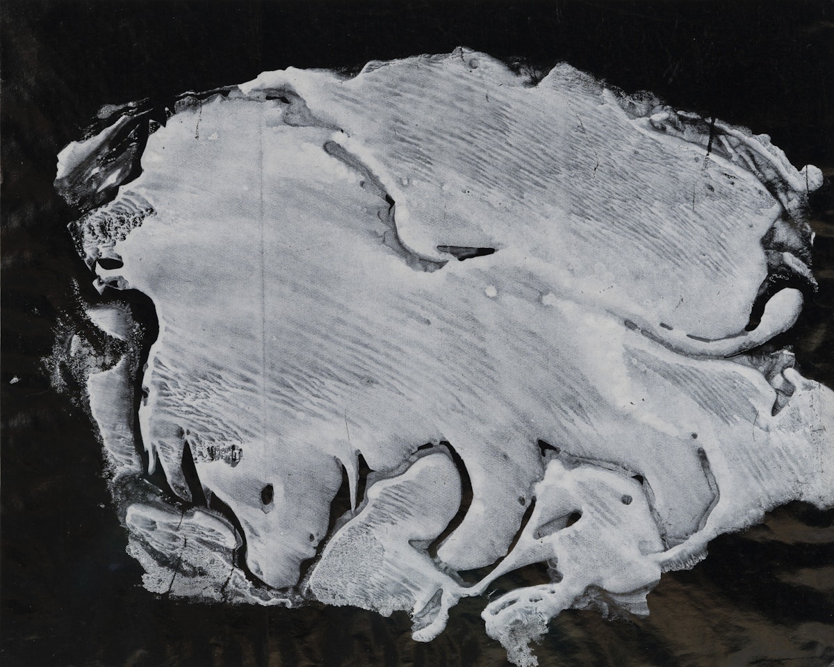 Variante du "Lion la glace" by Oscar Dominguez