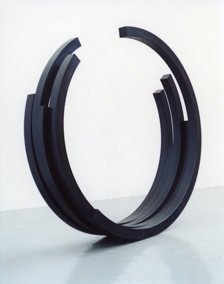 231.5° Arc x 5 by Bernar Venet