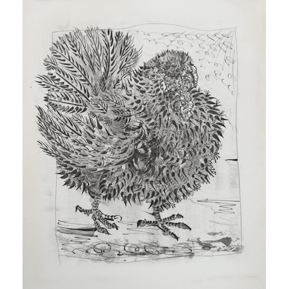 sugarlift etching, the turkey by Pablo Picasso