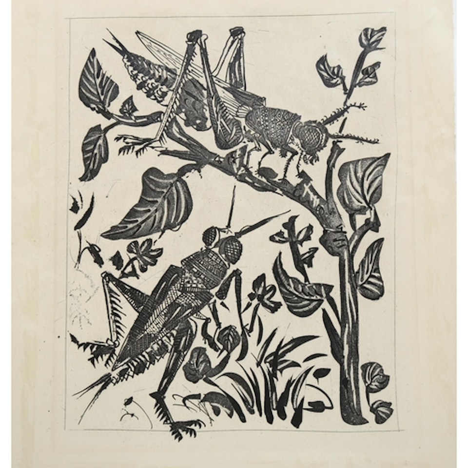 sugarlift etching, grasshoppers by Pablo Picasso