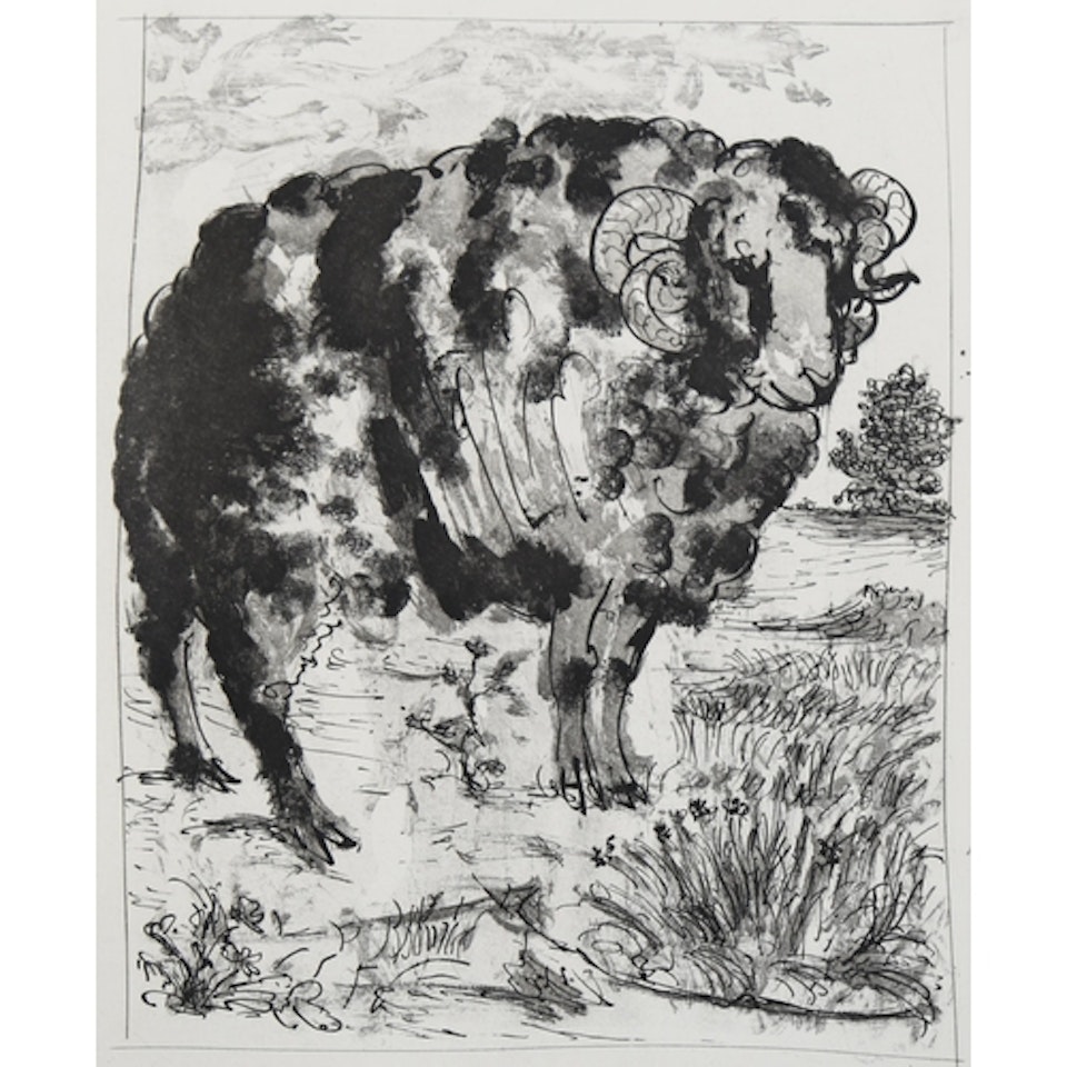 sugarlift etching, the ram (Buffon Series) by Pablo Picasso