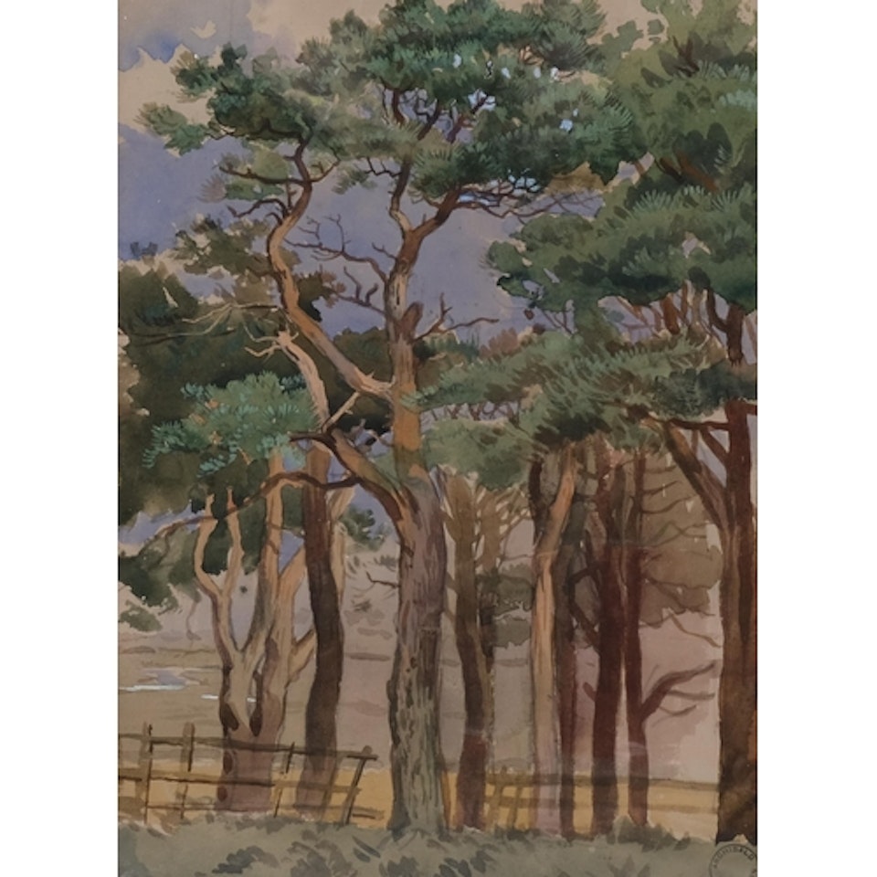 Scots Pines by Archibald Thorburn