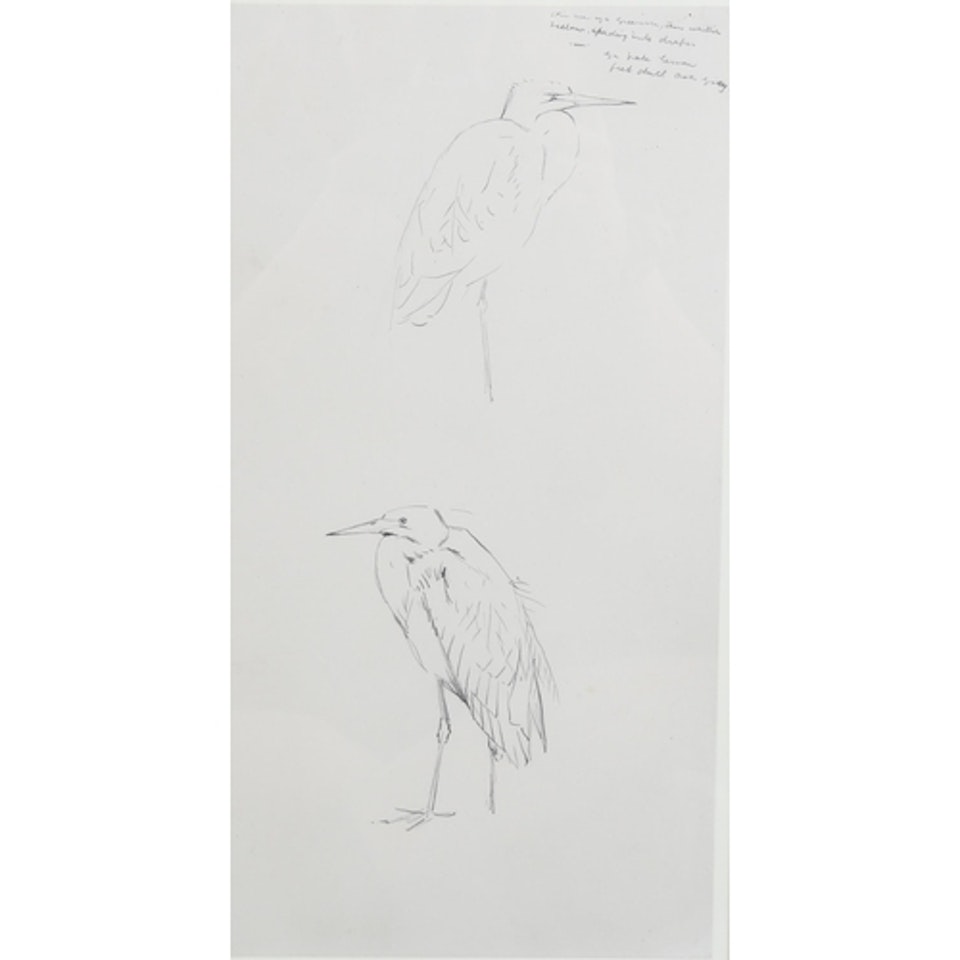 studies of Great White Egret by Archibald Thorburn