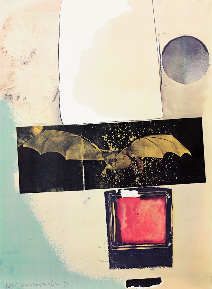 Rays by Robert Rauschenberg