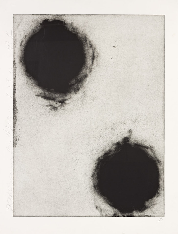 Pomegranates, May 1990 by Donald Sultan