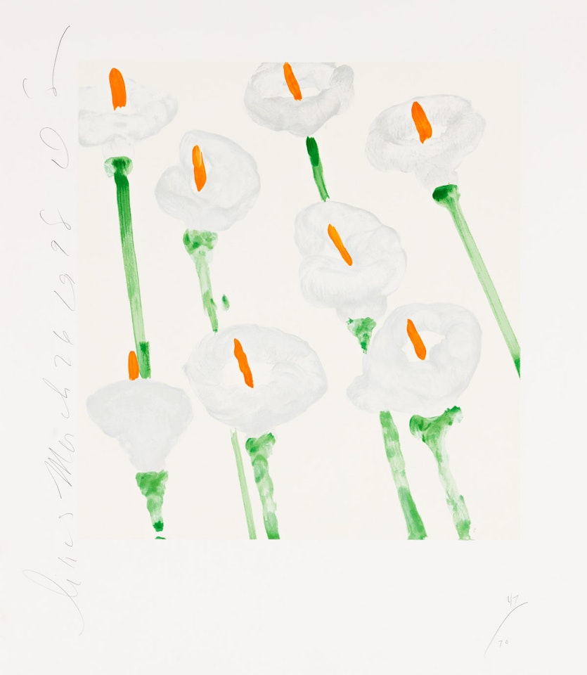 Lilies by Donald Sultan