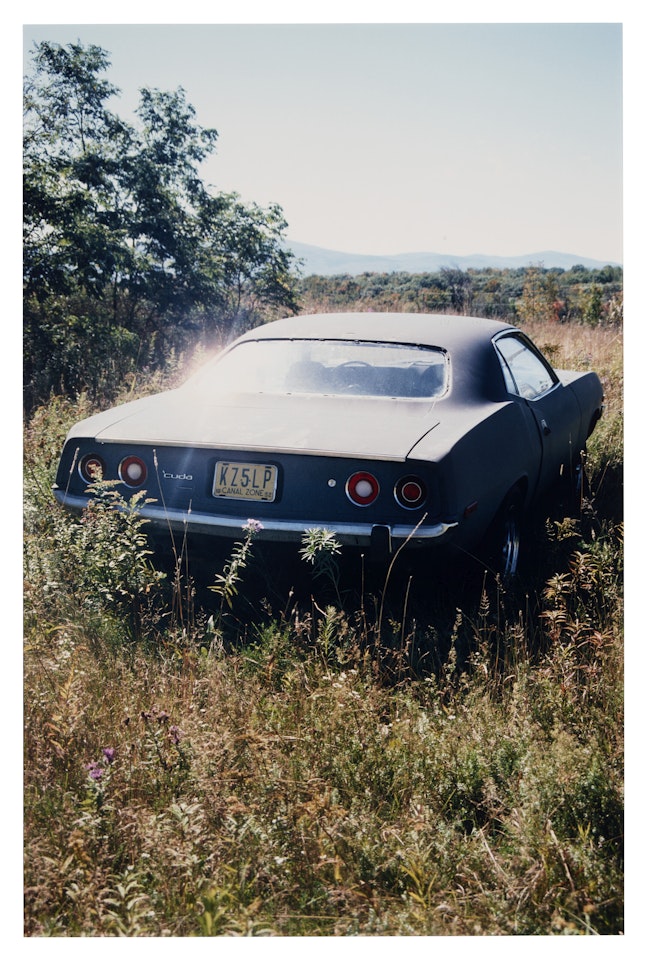 Untitled (Upstate) by Richard Prince