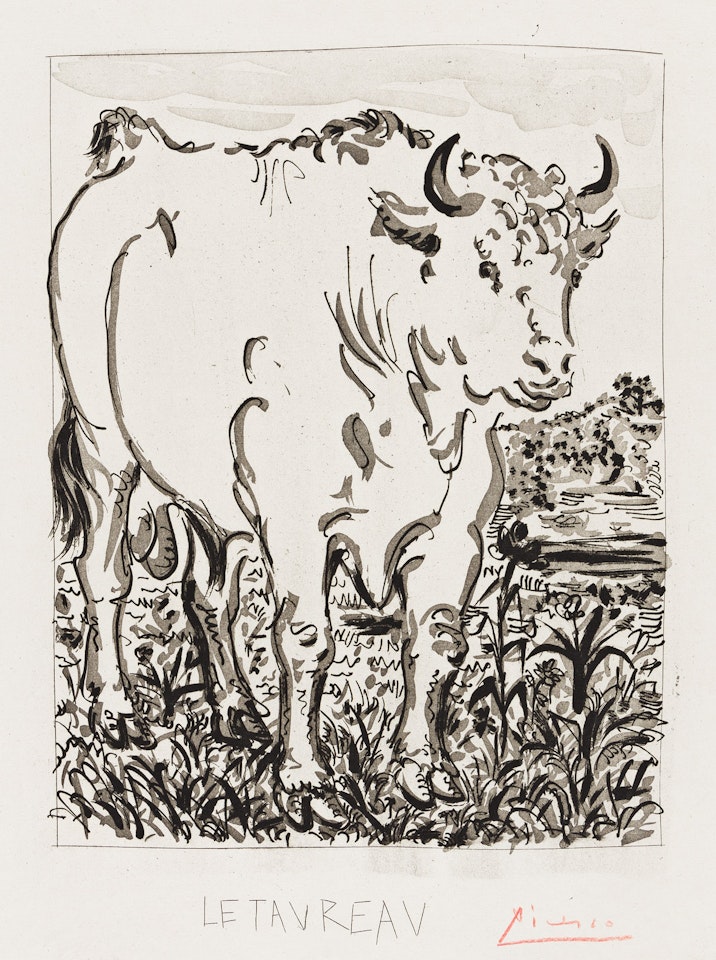 Le Taureau by Pablo Picasso