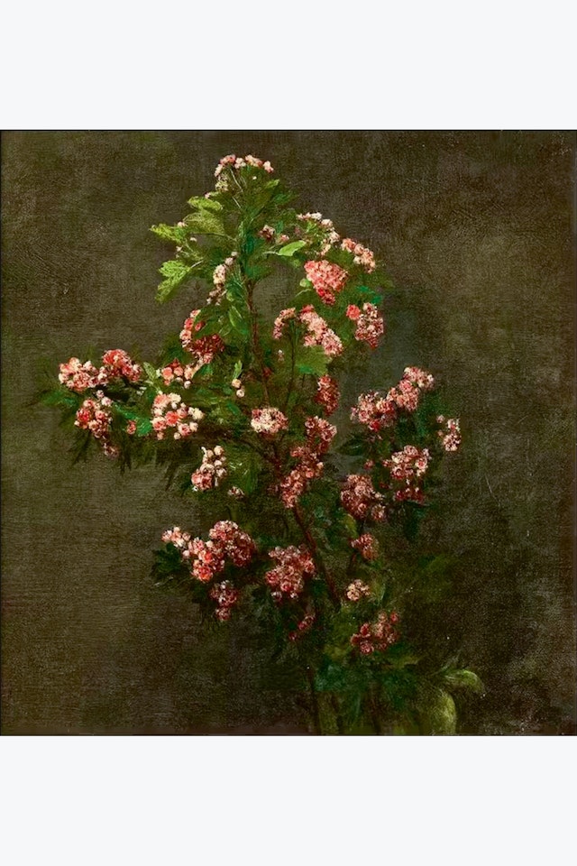 Aubépines roses by Henri Fantin-Latour