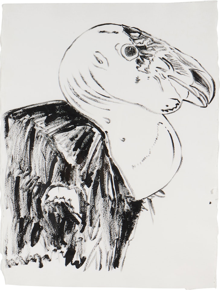 Vanishing Animals: California Condor by Andy Warhol