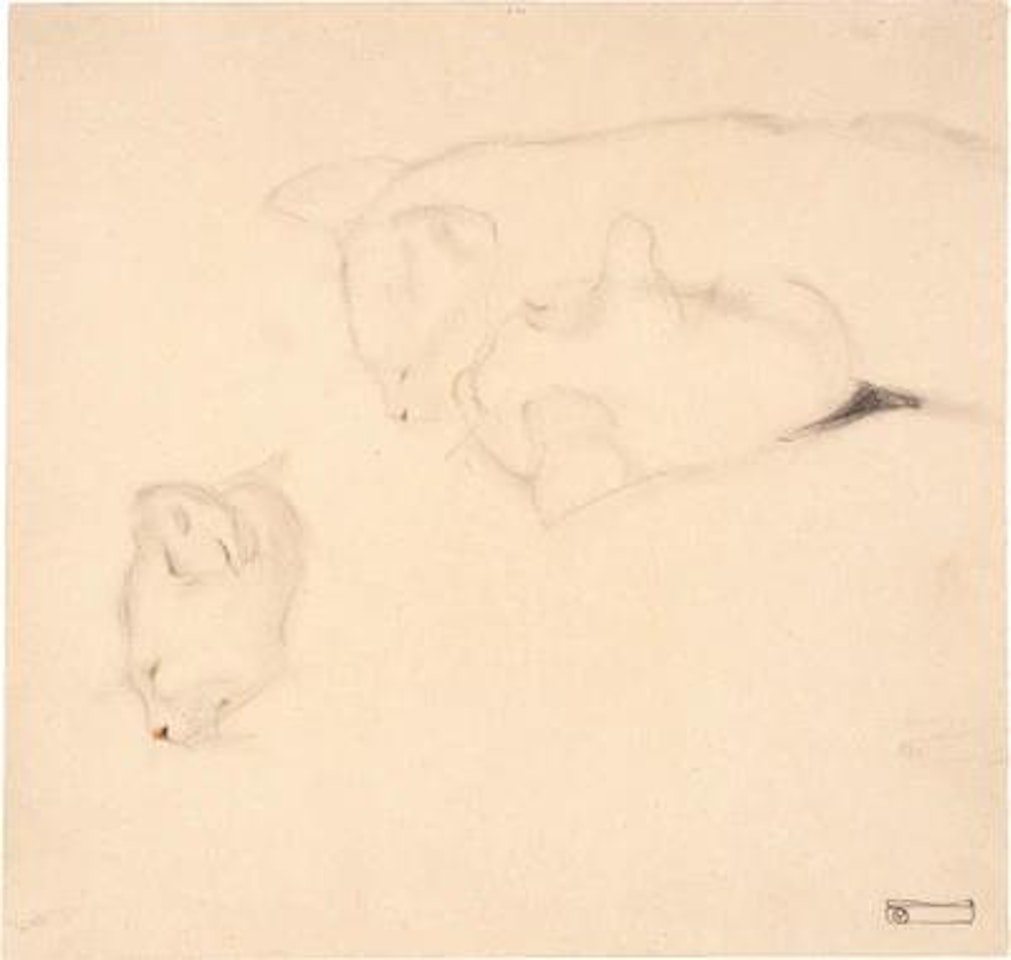 Cats. Studies by Egon Schiele
