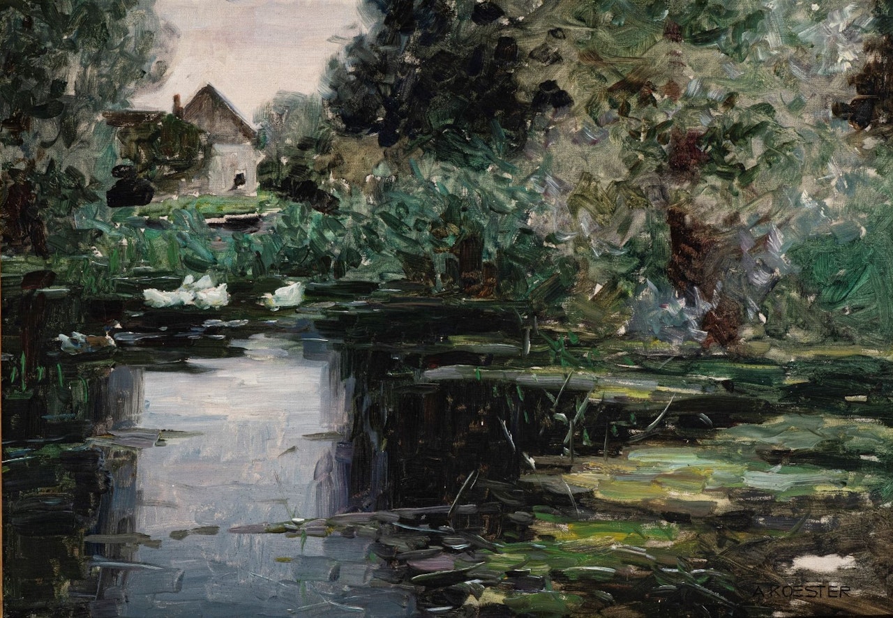 Ducks by Alexander Koester