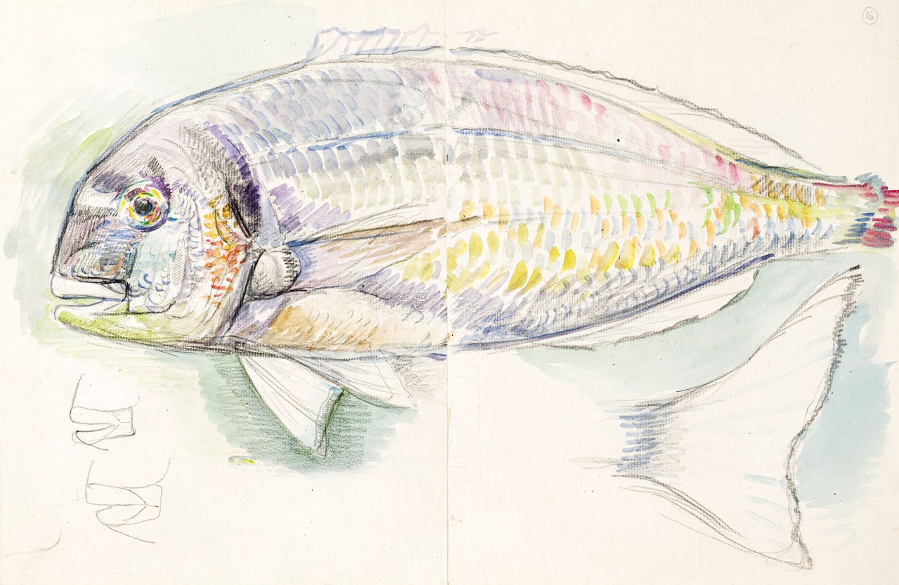 Sea bream by Theo van Rysselberghe