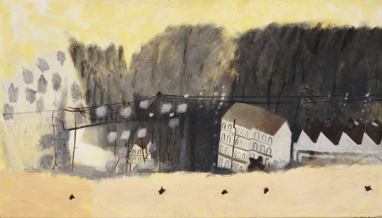 "Woollen mill valley with old man"s beard" by Mary Newcomb