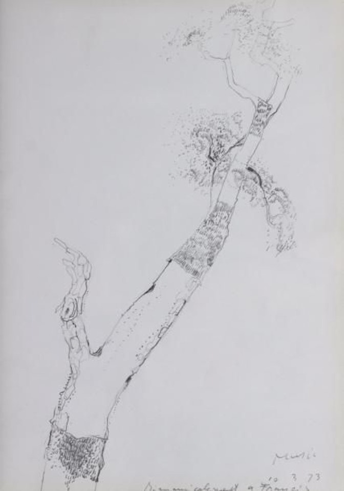 Tree study by Zoran Antonio Music