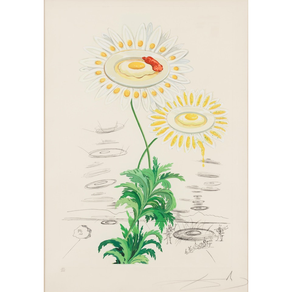 Chrysanthenum Frutescens (Marguerite), from Flora Dalinae (Field 68-3-J) by Salvador Dali