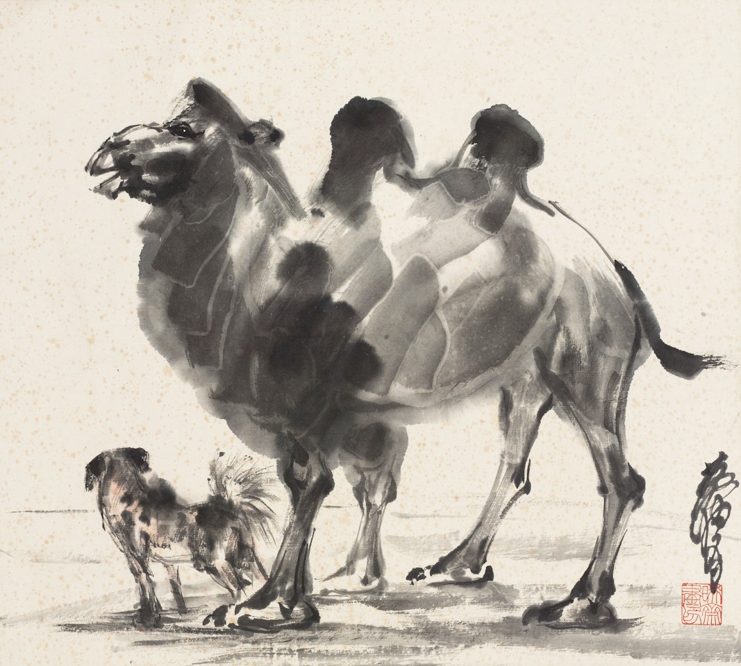 CAMELS by Huang Zhou