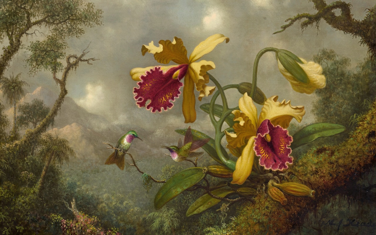 Hummingbirds and Gold and Purple Orchids by Martin Johnson Heade