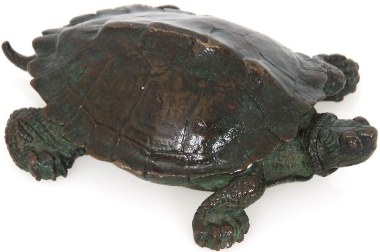 Bronze Turtle by Antoine-Louis Barye
