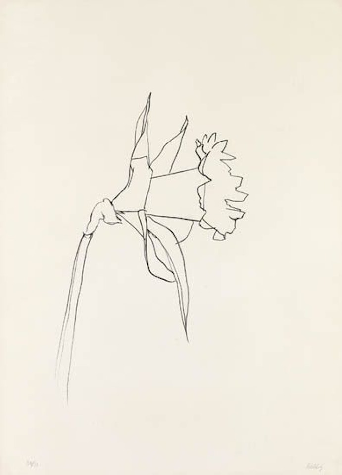 Daffodil by Ellsworth Kelly