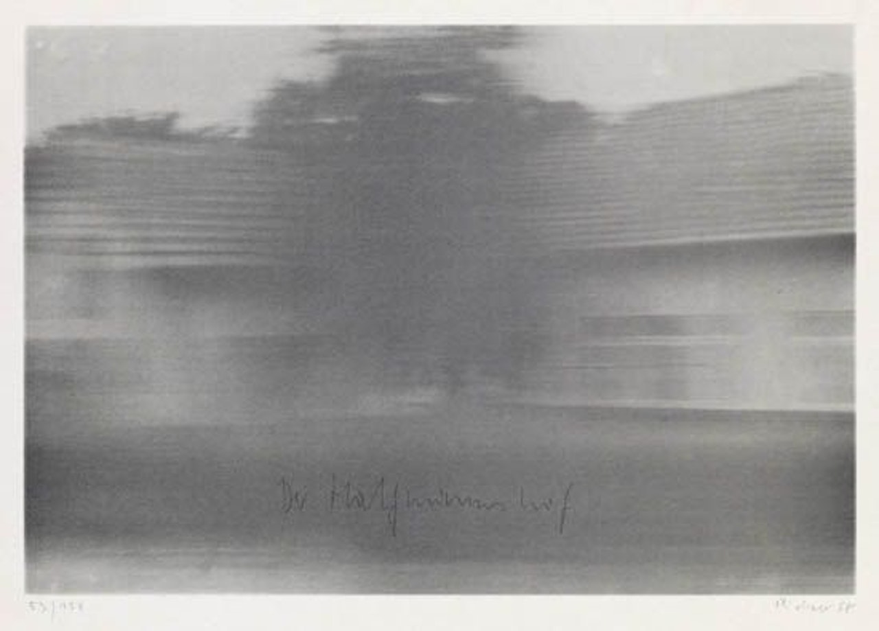 Halfmannshof by Gerhard Richter