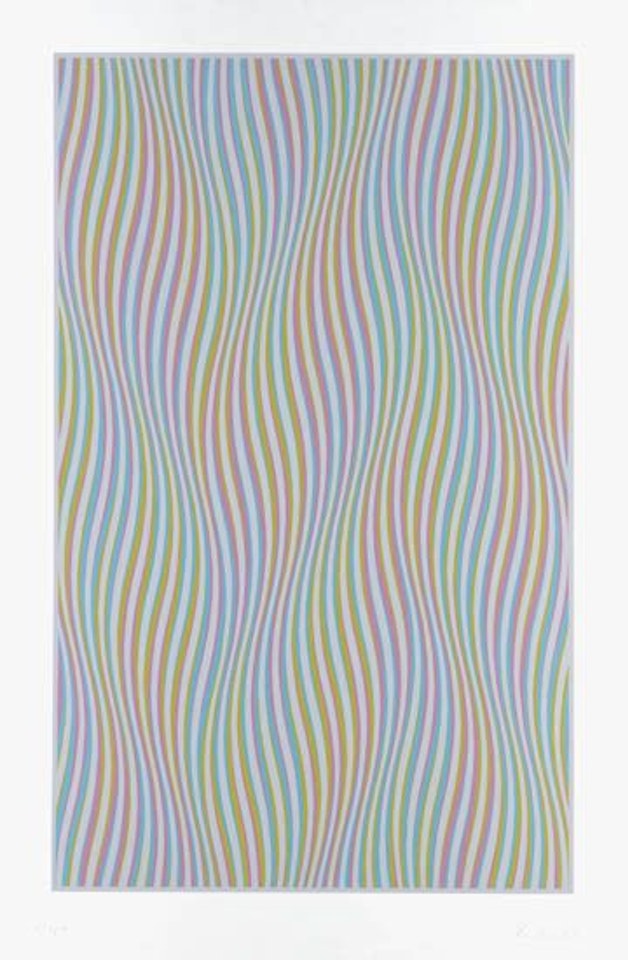 Elapse by Bridget Riley
