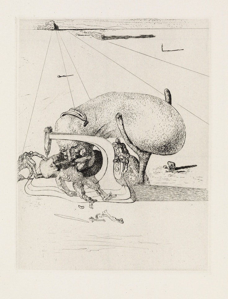 Figures * Sewing Machine by Salvador Dali
