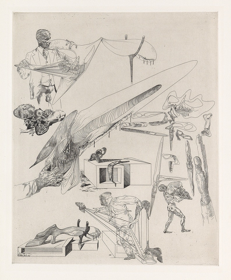 Crânes mous et harpe crânienne by Salvador Dali