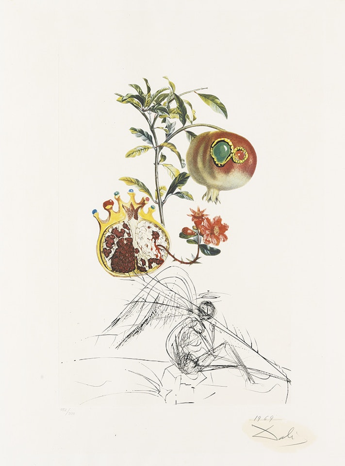 Grenade et l'Ange by Salvador Dali