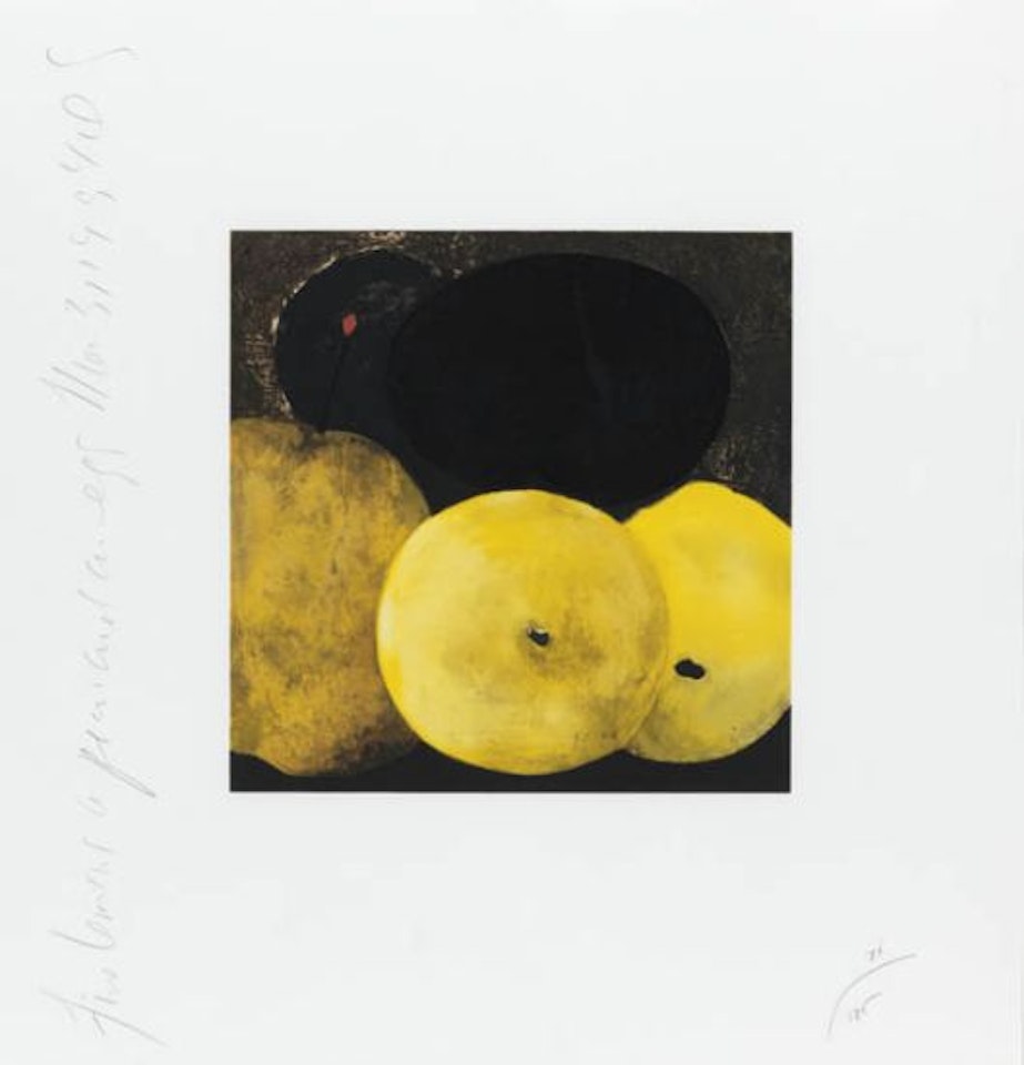 Five Lemons, a Pear and an Egg by Donald Sultan