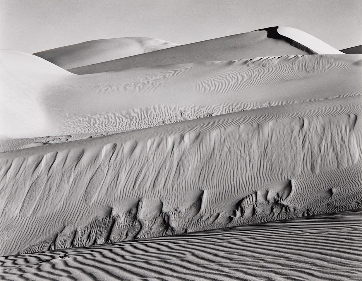 Dunes, Oceano by Edward Weston