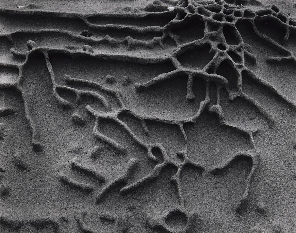 Sandstone Erosion, Point Lobos by Edward Weston
