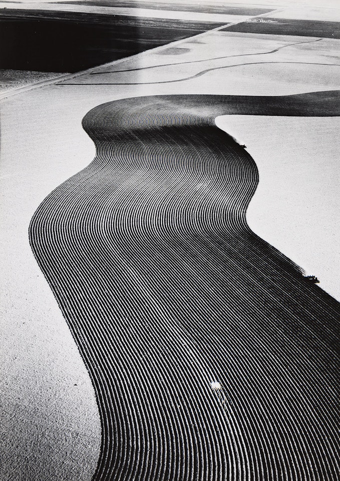 Contour Plowing, Walsh, Colorado by Margaret Bourke-White