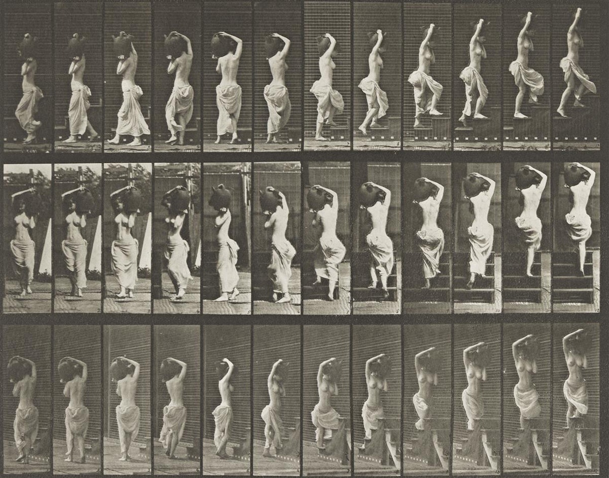 A selection of 2 plates from Animal Locomotion by Eadweard Muybridge