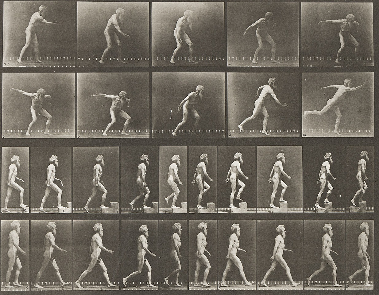 A selection of 4 plates from Animal Locomotion, including one of Muybridge staging himself by Eadweard Muybridge