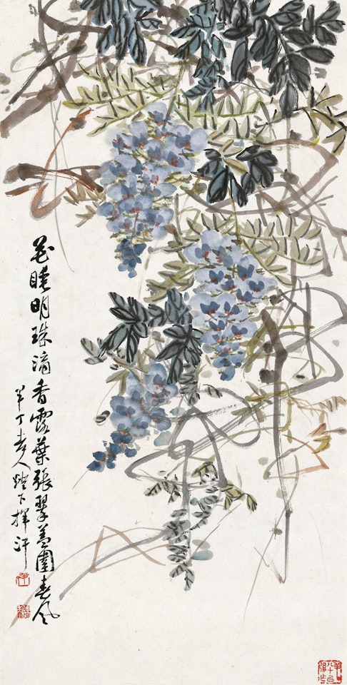 Wisteria by Chen Banding