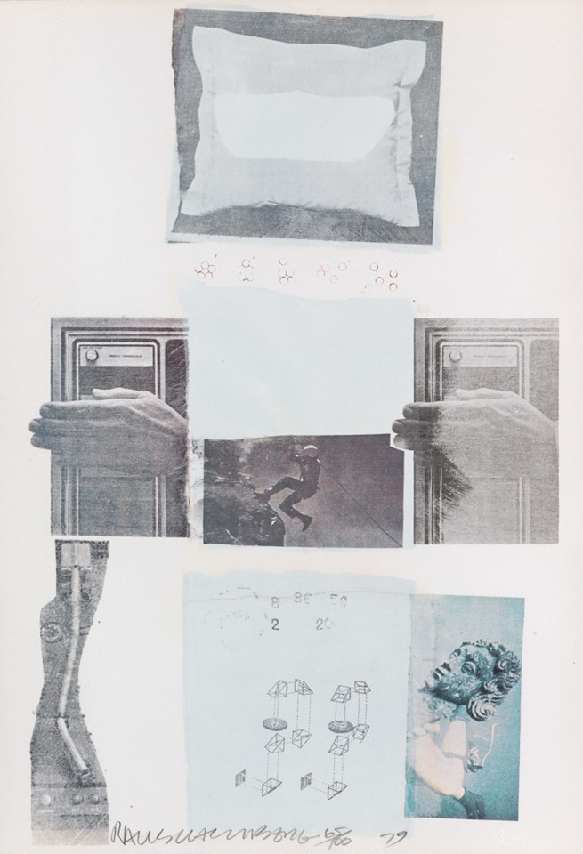 Two Reasons Birds Sing by Robert Rauschenberg