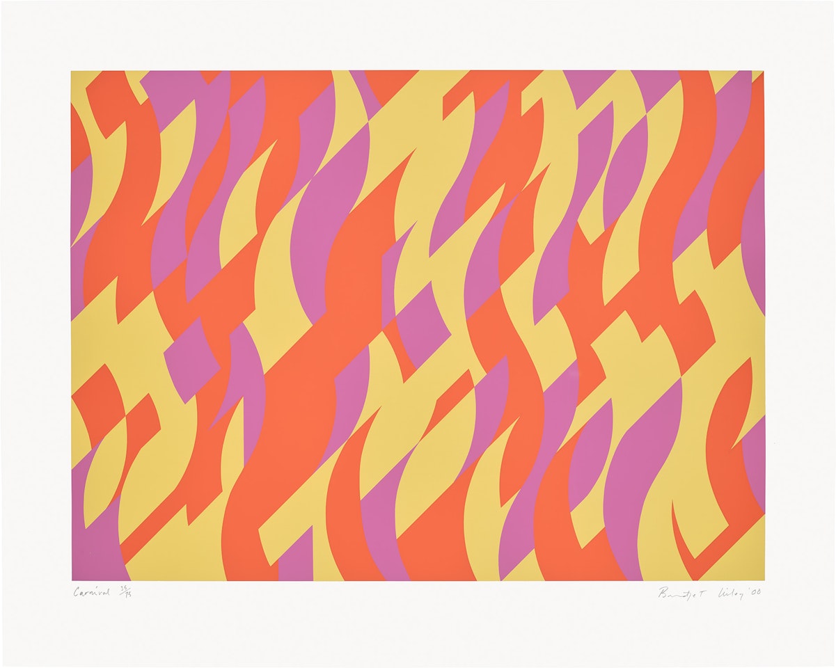 Carnival (S. 43, T. & G. 43) by Bridget Riley