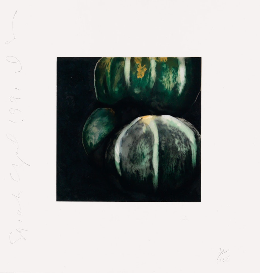 Squash by Donald Sultan