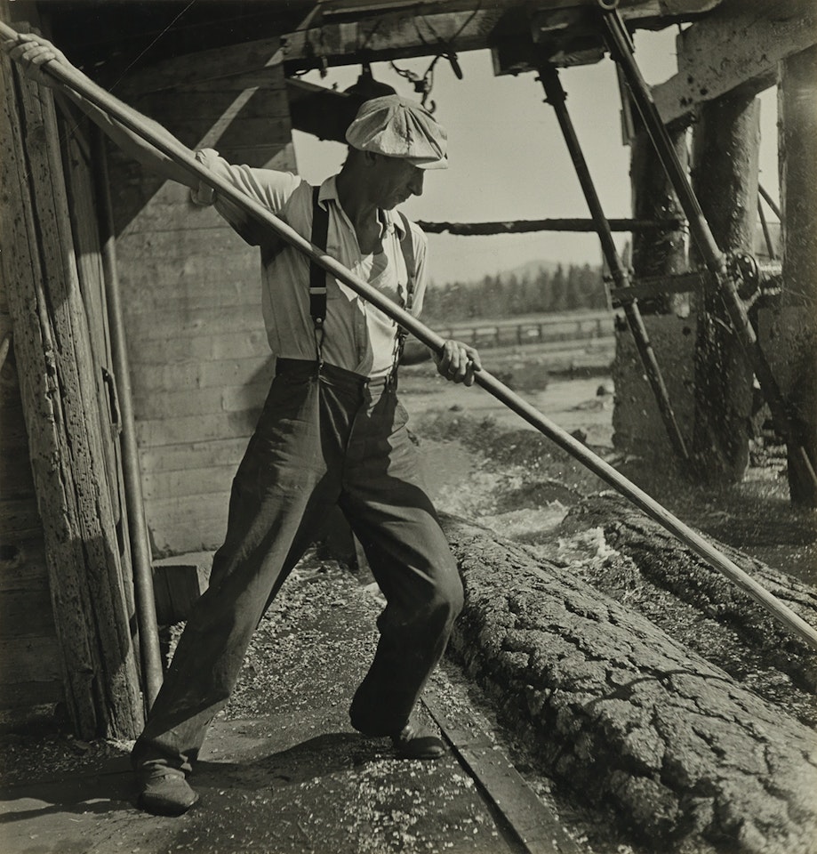 Red River logging company, California by Berenice Abbott