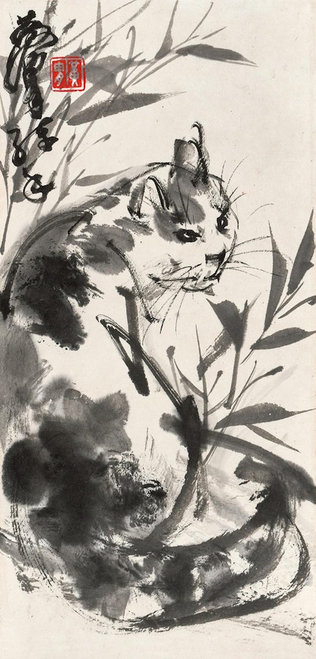 A CAT by Huang Zhou