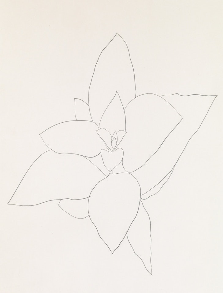 Milkweed by Ellsworth Kelly