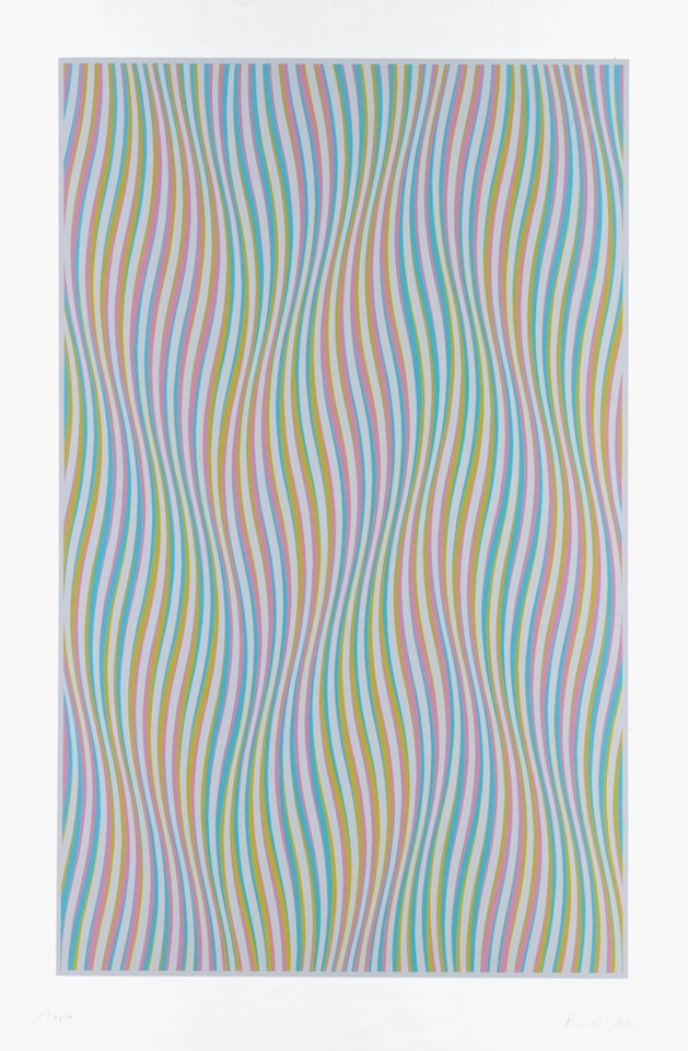 Elapse by Bridget Riley