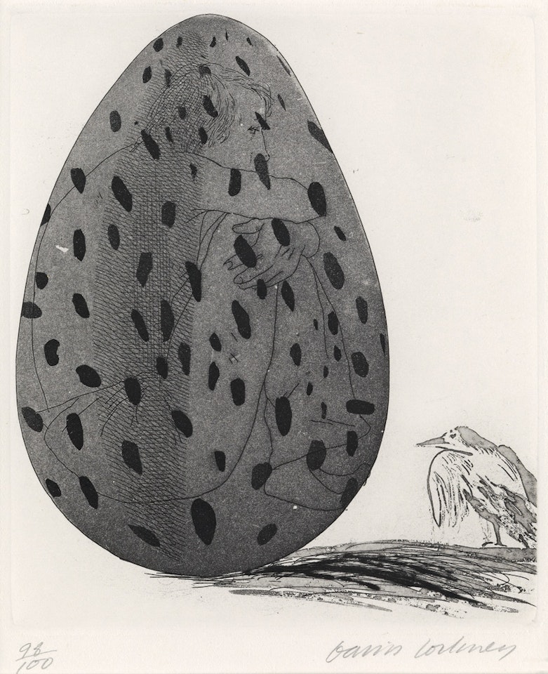 The Boy Hidden in an Egg by David Hockney