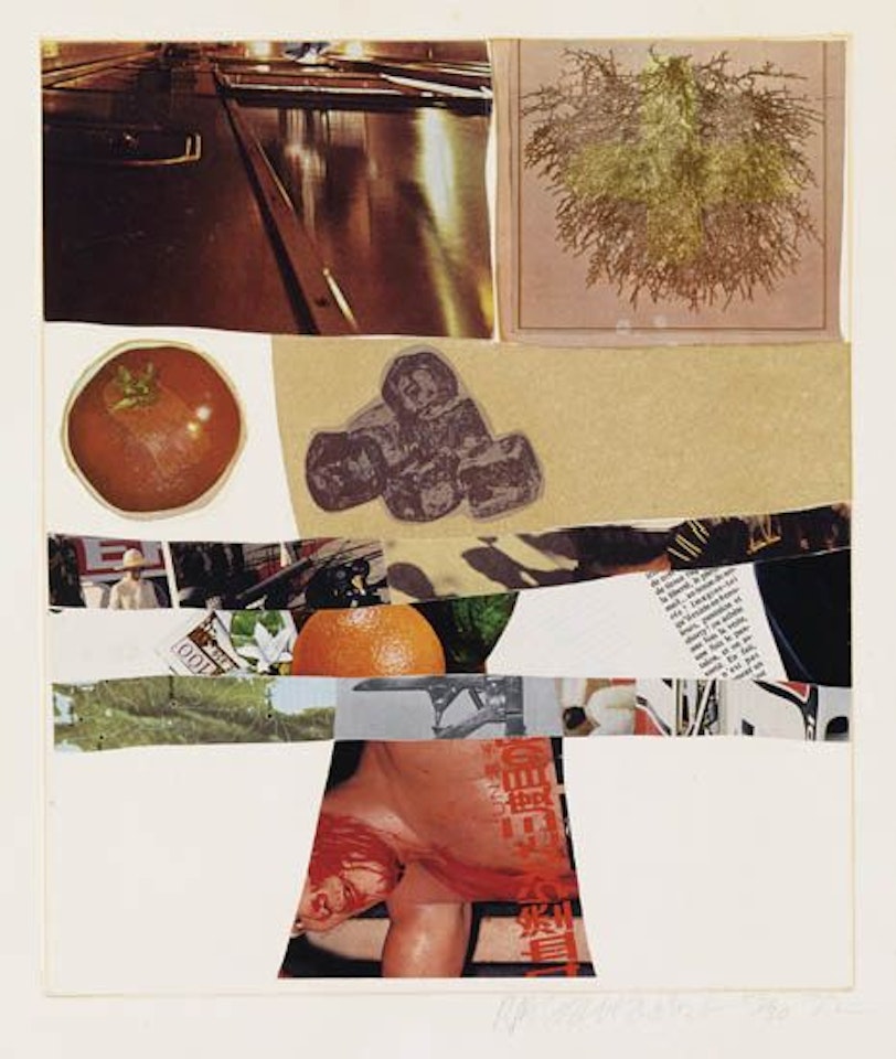 Horsefeathers Thirteen--II by Robert Rauschenberg