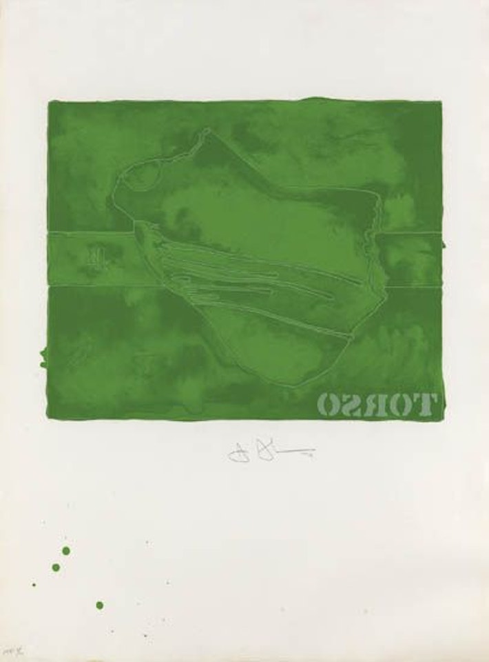Torso by Jasper Johns
